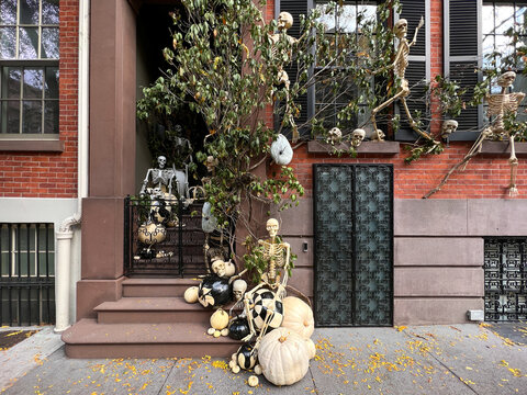 View of a brownstone facade festooned with eerie Halloween decorations, skeletons, pumpkins, and skulls, creating a spooky spectacle, New York, New York, United States.