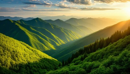 Verdant mountain slopes and deep valleys bathed in the golden light of sunrise, creating a peaceful and serene natural landscape filled with lush green forests and a clear sky