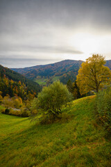 Beautiful mountain landscape in autumn colors in the Black Forest mountains of Germany.