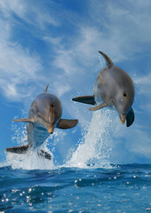 Delfine oder Delphine (Delphinidae) Zahnwale, Gruppe springt aus dem Wasser, Weltmeere  © Aggi Schmid