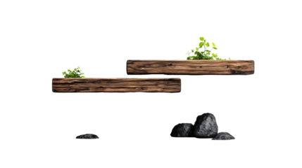 Wooden floating shelves with plants and water feature  on transparent background