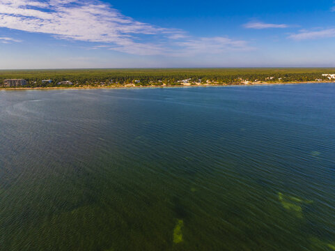 Aerial view of turquoise waters meet the sandy shore, fringed by verdant trees and scattered buildings under a vast blue sky, Progreso, Yucatan, Mexico.
