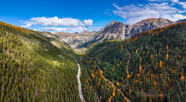 Aerial panoramic view of Cervieres Valley in the Briancon region, Hautes-Alpes. Autumn larch trees and alpine forest. French Alps, France