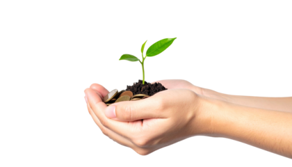Nurturing growth: A hand holding a plant growing out of soil and coins