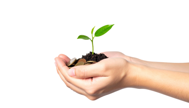 Nurturing growth: A hand holding a plant growing out of soil and coins
