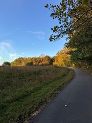 Trail in autumn