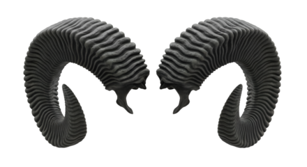 Ram Horns with Detailed Ribbed Texture sheep horns