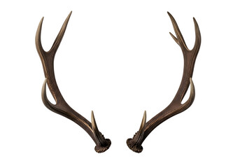 Obraz premium Antlers displayed prominently in a photographic composition, isolated on white or transparent background. PNG