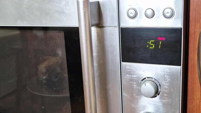 Close-up shot of a stainless steel microwave oven digital timer with bright green numbers counting down seconds. A flashing colon marks the passage of time on the modern kitchen appliance.