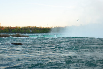 Soft pastel sky and rising mist blend above the Horseshoe Falls at dusk, with a seagull gliding over the turquoise river and tree-lined horizon