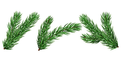 Vector realistic pine tree branch for Christmas and New Year design isolated on a transparent background. Holiday fir tree branch for winter banner, poster, greeting card.