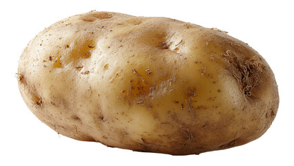 Fresh unpeeled potato with textured earthy skin symbolizing natural produce and farm to table freshness isolated on transparent background