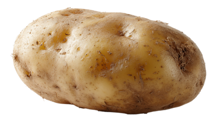 Fresh unpeeled potato with textured earthy skin symbolizing natural produce and farm to table freshness isolated on transparent background