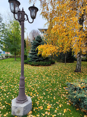 street lamp in autumn