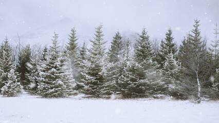 Winter scene with snowfall descending upon a snowy field and covering the ground and trees. Seasonal design or holiday themes for winter