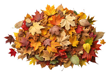 Pile of autumn leaves in vibrant orange, red, yellow, and brown hues scattered naturally, isolated on a transparent background