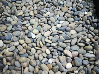 River pebbles or multi-colored river stones are lined up on the ground. Their smooth, smooth surfaces come in variety of colors, depending on minerals in the rocks, white, brown, black and gray.  

