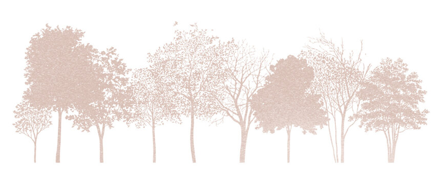 Minimal-style CAD side-view tree and wetland forest section outline set, ideal architectural and landscape design vector illustration for autumn foliage line drawings and environmental site plans.