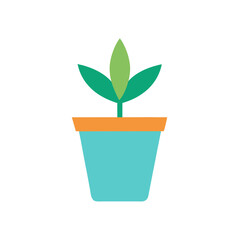 Minimalist house plant vector illustration
