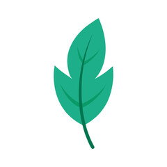 Minimalist plant leaf vector illustration
