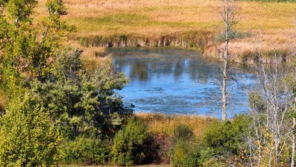 Natural wetlands marsh with pond for wildlife birds during Autumn Fall season quiet scenery reflections in water Fairport, NY