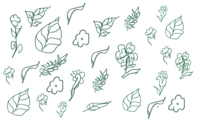 Hand-drawn botanical illustrations featuring delicate green leaves and flowers.