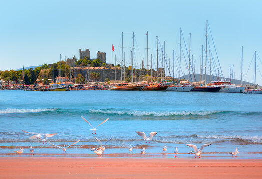 Panoramic view of Saint Peter Castle (Bodrum castle) and marina View of Bodrum beach in the foreground - Bodrum, Turkey