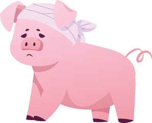 A sad pink kitten with a bandaged head, a sick animal.