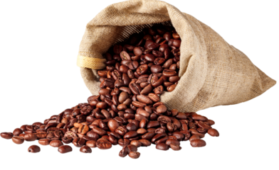 Coffee beans spilling from a rustic burlap sack Rich aroma and flavor