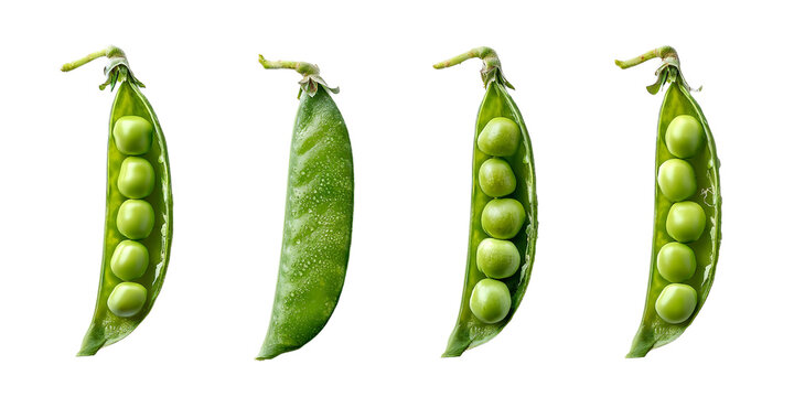 Fresh green pea pods showcasing different stages of fullness on a clean background
