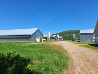 Farm houses in the summer sun