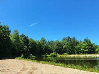 small lake in the forest in summer