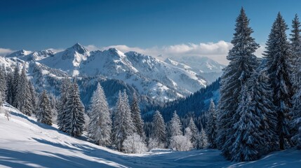 Fototapeta premium A snowy mountain range with trees in the foreground. The sky is blue and clear. The scene is peaceful and serene