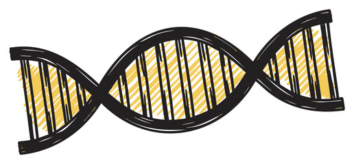 Black and yellow sketch-style representation of a dna double helix, showing intertwined strands and interior ladder-like structure.