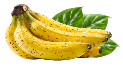 Ripe bananas with leaf, fresh tropical composition, vibrant daylight tones, isolated on white background