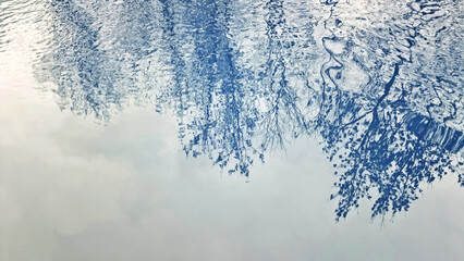 reflection of tree branches in water, abstract blue background texture with grunge brush strokes and water drops