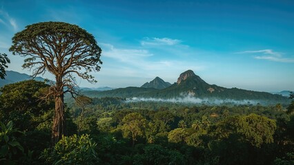 Mountains in the morning with a clear sky and lush greenery.