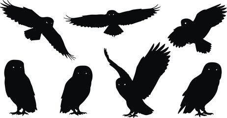Obraz premium Black owl silhouette vector set, flying and perched owl design, wildlife bird illustration for tattoo, logo, art, and nature concept