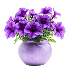 Elegant Purple Petunias Hanging Beautifully in Vase