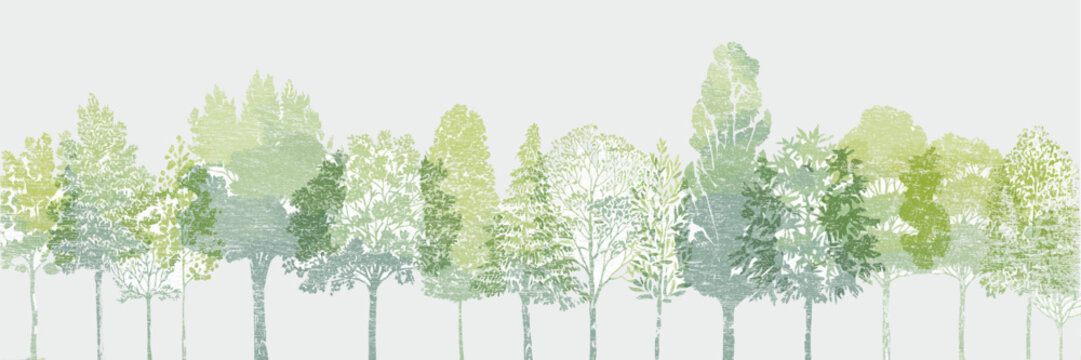Minimal CAD tree line drawing and wetland forest section vector set, side view architectural illustration for landscape design, planning, and environmental elevation presentation.