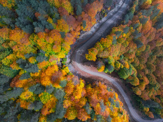 Autumn Colorful in the Turkiye Forest Drone Photo, Corum Turkiye (Turkey)