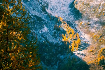 Fall colours in the mountains, Autumn outdoor, hiking in Alps