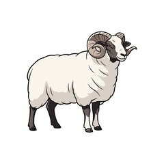 vector illustration of sheep