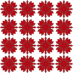 red and white flowers