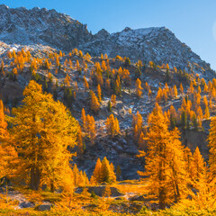 Fall colours in the mountains, Autumn outdoor, hiking in Alps