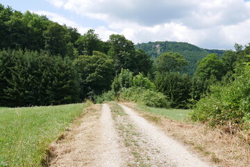 Forstweg in der Schw&auml;bischen Alb