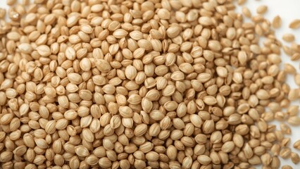Macro shot of a heap of shelled hempseed, hemp, seed, hempseed, texture, food, isolated, nature, white, health, cooking