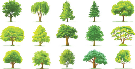 Fototapeta premium collection of fifteen diverse green trees with brown trunks and detailed foliage on white background.