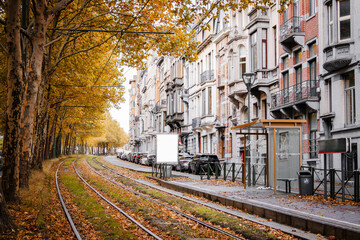European city street with tram tracks, autumn trees along the street, fallen leaves on rails and pavement, parked cars along the road, urban buildings and sidewalks, aerial view.