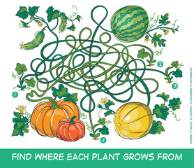 A fun maze puzzle. Help unravel the plants. Vector illustration for children